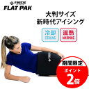 アイシング サポーター フリーズ スリーブ FREEZE SLEEVE フラットパック FLAT PAK 肩サポーター 腰 肩 背中 足首 手首 ふくらはぎ 冷却 温熱 冷温両用