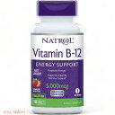 Natrol Vitamin B12 Tablets 5,000mcg, Strawberry, 100 Count / ナトロール ビタミンB12 タブレット 5,000mcg 100錠 ストロベリー味