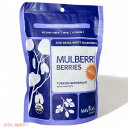 【お取り寄せ】Mulberry Berries Sun-Dried 4 oz (113 g) Nav ...