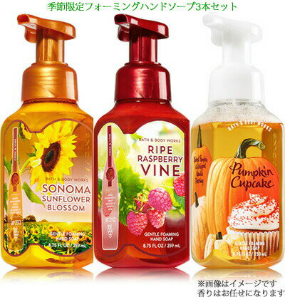 【お楽しみセット】3本★フォーミングハンドソープ 季節限定の香り Bath & Body Works Foarming Hand Soap　バス&ボデ…