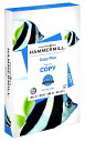 ハンマーミル HAMMERMILL コピー 用紙 プラス 8.5×14 リーガルサイズ 20LB 92 500枚 105015R アメリカーナがお届け!