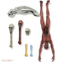【最大2,000円クーポン6月27日01:59まで】NECA プレデターデラックス アクセサリーパック 51550 アクションフィギュア アメリカーナがお届け!
