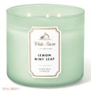 【送料無料】バスアンドボディワークス 3芯キャンドル レモンミントリーフ 411g Bath and Body Works 3-Wick Candle LEMON MINT LEAF 411g