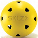 飛行練習ゴルフボール SKLZ 2763 12パック ゴルフ練習用ボール ゴルフボール練習用 ゴルフトレーニング ゴルフ練習 ア アメリカーナがお届け!