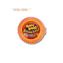 【訳あり・パッケージダメージ・賞味期限2024年12月22日まで】Hubba Bubba バブルテープガム、タンジー トロピカル 56.7 g / Hubba Bub..