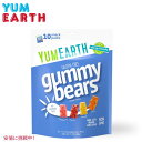 Yum Earth A[X I[KjbN t[c O~ xA K~[xA 10ܓ  XibNTCY Organic Gummy Bear 10 Snack Pack 6.8 oz