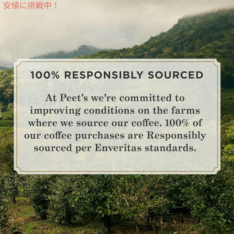 Peets Coffee ピーツコーヒー Dark Roast Ground Coffee 10.5oz ダークロースト 挽き豆コーヒー シングルオリジン スマトラ Single Origin Sumatra