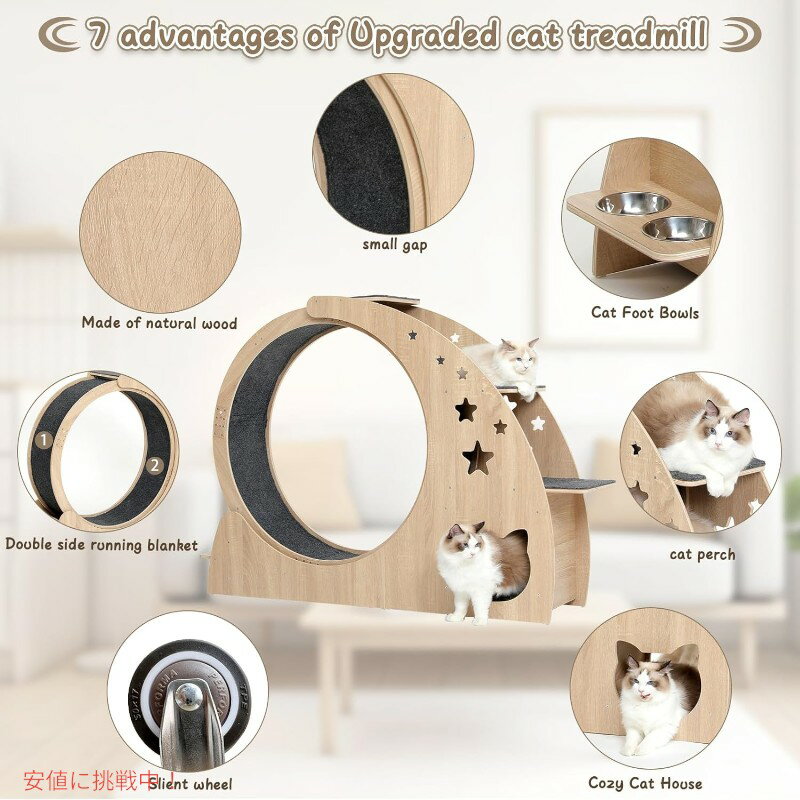 ǭ�� ����å� 4in1������������ �⤵41.3����� �ͤ��Ѳȶ� Cat Wheel 4in1 Cat Exercise Wheel ����åȥ������� ����åȥϥ���