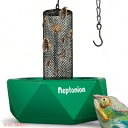 yő2,000~N[|4279:59܂ŁzlvgjI NEPTONION tbN JIp tB[fBO{E Hookable Chameleon Feeding Bowl