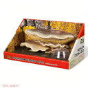 【最大2,000円クーポン5月27日01:59まで】Zilla ジーラ マッシュルーム フィーディング レッジ Mushroom Feeding Ledge B...