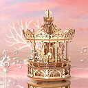 ROKR オリジナル3D木製パズル