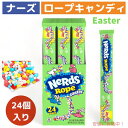 ナーズ ロープキャンディ  24個 ナーズロープキャンディ Nerds Ropes Easter Candy ロープグミ グミ NerdsRope キャンディ