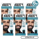 6個セット JUST FOR MEN ジャストフォーメン ヒゲ用 カラー剤 グレイヘア用 [M-55 リアルブラック] Mustache & Beard Color Gel