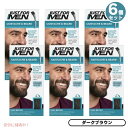 6個セット JUST FOR MEN ジャストフォーメン ヒゲ用 カラー剤 グレイヘア用 [M-45 ダークブラウン] Mustache & Beard Color Gel Dark Brown