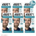 6個セット JUST FOR MEN ジャストフォーメン ヒゲ用 カラー剤 グレイヘア用 [M-25 ライトブラウン] Mustache & Beard Color Gel