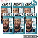 6個セット JUST FOR MEN ジャストフォーメン ヒゲ用 カラー剤 グレイヘア用 [M-47リッチダークブラウン] Mustache & Beard Color Gel