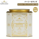 ハーニー＆サンズ Harney & Son's [ジンジャーブレッド フェスティバル] ジンジャー＆シナモン 紅茶 サシェ 30袋 ティーバッグ 75g/2.67oz