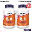 【2個】 NOW Foods ナウフーズ ビタミンB-6 100mg 250粒 ベジカプセル #0458 Vitamin B-6 100mg 250 Veg Capsules