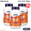 【3個】 NOW Foods ナウフーズ ビタミンB-6 100mg 250粒 ベジカプセル #0458 Vitamin B-6 100mg 250 Veg Capsules