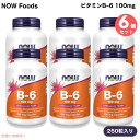 【6個】 NOW Foods ナウフーズ ビタミンB-6 100mg 250粒 ベジカプセル #0458 Vitamin B-6 100mg 250 Veg Capsules