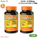 【最大2,000円クーポン6月11日01:59まで】【2個セット】Ester-C エスターC 500mg シトラスバイオフラボノイド配合 120粒 カプセル ビタミンC Ester-C 500 mg with Citrus Bioflavonoids 120 Capsules