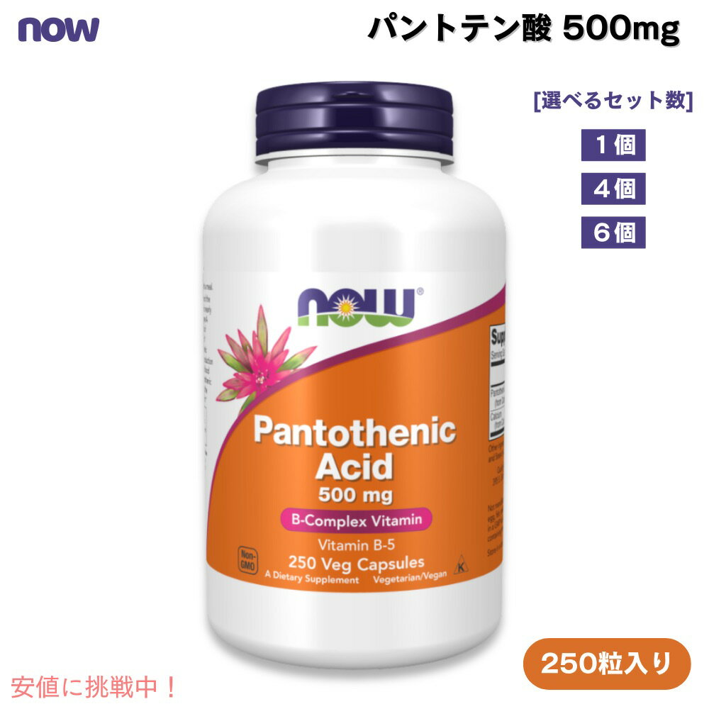 NOW Foods Pantothenic Acid 500 mg 250 Caps #0488 ʥա ѥȥƥʥӥߥB5 ...