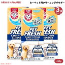 【3箱セット】アーム&ハンマー ペットカーペット用クリーニングパウダー 臭いエリミネーター Arm & Hammer 3936737 プラスオキシクリーン 462g