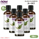 【6個セット】NOW Foods ナウフーズ ユーカリ エッセンシャルオイル 118ml 精油 #7546 Eucalyptus Oil 4oz