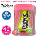 【最大2,000円クーポン8月11日01:59まで】Trident Vibes サワーパッチキッズ スイカ風味 40個入り SOUR PATCH KIDS Watermelon 40pcs
