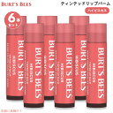 【6本セット】Burt's Bees 100% Natural Tinted Lip Balm, Hibiscus バーツビーズ ティンテッドリップバーム [ハ...