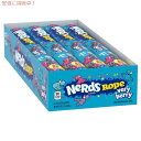 ナーズロープキャンディ 24個 Nerds Rope, Very Berry Candy ベリーベリーキャンディ ロープグミ NerdsRope