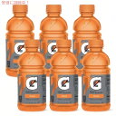 Gatorade Orange Sports Drink -12 fl oz Bottles / ゲータレード スポーツドリンク  355ml