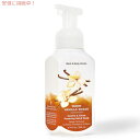 Bath and Body Works Warm Vanilla Sugar Gentle Foaming Hand Soap バス ボディワークス ウォームバニラシュガー ジェントル フォーミング ハンドソープ