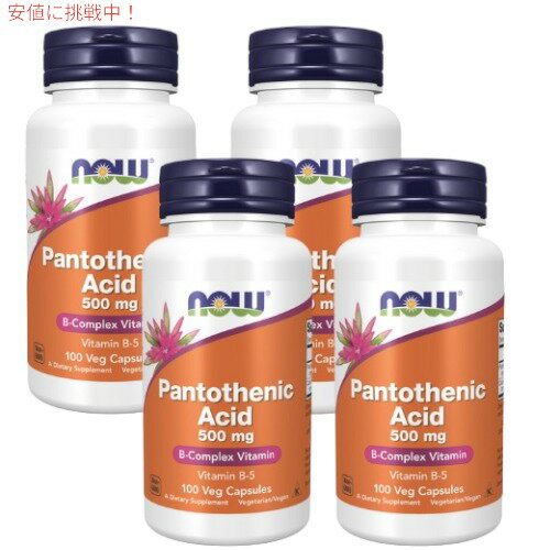 ソースナチュラルズ パントテン酸 ビタミンB-5 250mg 250粒 タブレット Source Naturals Pantothenic Acid Vitamin B-5 250mg Tablets コエンザイムA