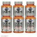 【最大2,000円クーポン6月11日01:59まで】【6個セット】NOW CREATINE 750mg 120 CAPS #2035 ナウ クレアチン(4)