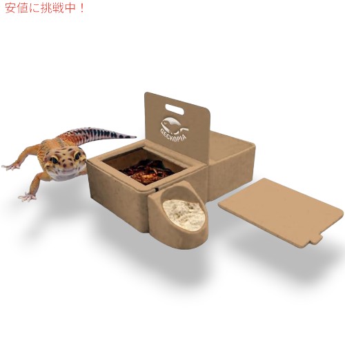 【最大2,000円クーポン5月16日01:59まで】Geckopia ゲッコーピア トリプル 爬虫類ディッシュ 3in1 Reptile Dish [ヤモリボウル, 爬虫類ボウル、ウォーターフードボウル]