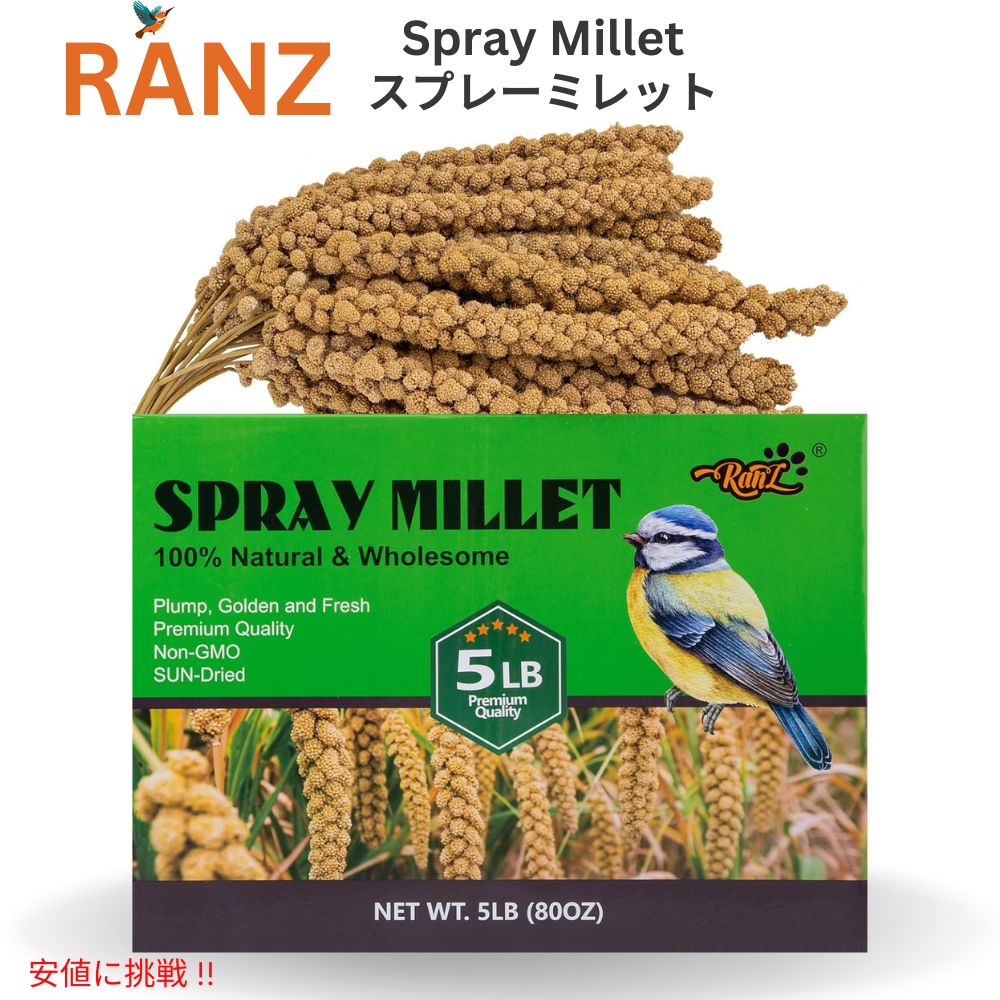 Ranz ランツ 鳥用 粟穂 2.27kg 100%天然素材 天日乾燥 非遺伝子組み換え 小動物 ハムスター 鳥 餌 おやつ Millet Spray for Birds 80oz