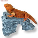 REPTI ZOO veBEY[ ̉B t Hide Cave with Basking Platform [঒ނ̉B ~MX[g]