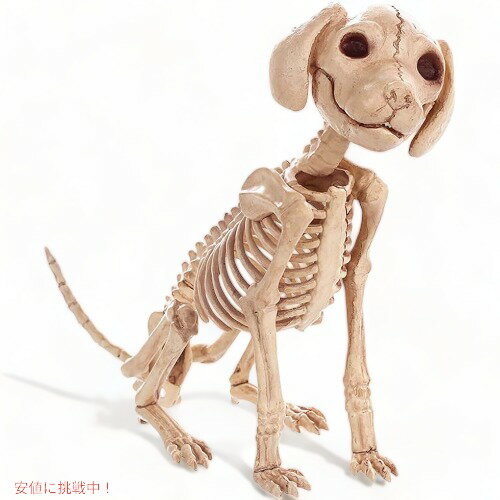 LKXHarleya ハロウィン スケルトン子犬 ミニプードル犬 スケルトン 犬の骨
