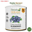 yő2,000~N[|4279:59܂ŁzfBn[FXg t[YhC u[x[ 520g #10 u[x[ hCt[c Ready Harvest Freeze-dried Blueberries