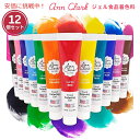 【最大2,000円クーポン5月27日01:59まで】Ann Clark アン クラーク プロ仕様ゲル状食用色素 20.7mL 12個セット Profession...