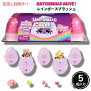 Hatchimals Alive ハッチマルズアライブ レインボースプラッシュエッグカートン フィギュア5個入り3歳以上 Rainbow Splash Egg Carton 5pcs Figures Age 3+