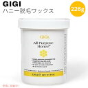 GIGI オールパーパス ハニーワックス マイクロウェーブ All Purpose Honee Microwave 電子レンジ 全身用ワックス