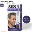 JUST FOR MEN ジャストフォーメン タッチオブグレイ [T-45 ダークブラウン] メンズ ヘアカラー カラー剤 グレイヘア用 Touch Of Gray Dark Brown
