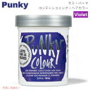 JEROME RUSSELL パンキーカラー Punky Color 半永久コンディショニングヘアカラー #1428 [バイオレット] Semi Permanent Conditioning Hair Color Violet