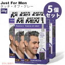 【5個セット】JUST FOR MEN ジャストフォーメン タッチオブグレイ [T-45 ダークブラウン] メンズ ヘアカラー カラー剤 グレイヘア用 Touch Of Gray Dark Brown