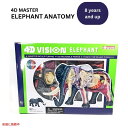 4Dビジョン ゾウ解剖模型 4D Vision Elephant Anatomy Model