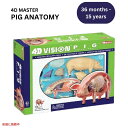 TEDCO 4Dビジョン ブタ解剖模型 TEDCO 4D Vision Pig Anatomy Model