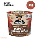 クエーカーエクスプレス メープルブラウンシュガーオートミール 1.69オンス Quaker Express Maple Brown Sugar Oatmeal 1.69oz