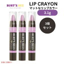 【3個セット】Burt's Bees バーツビーズ リップクレヨン カロライナコースト Lip Crayon #423 Carolina Coast
